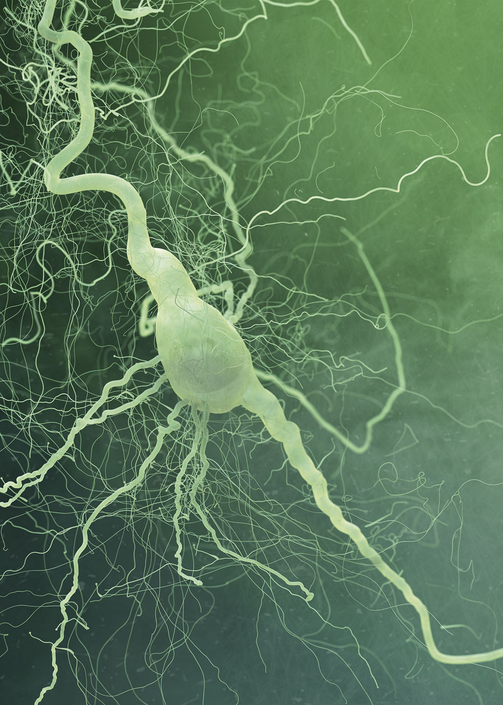 neuron-detail | illustration ©adergebroed