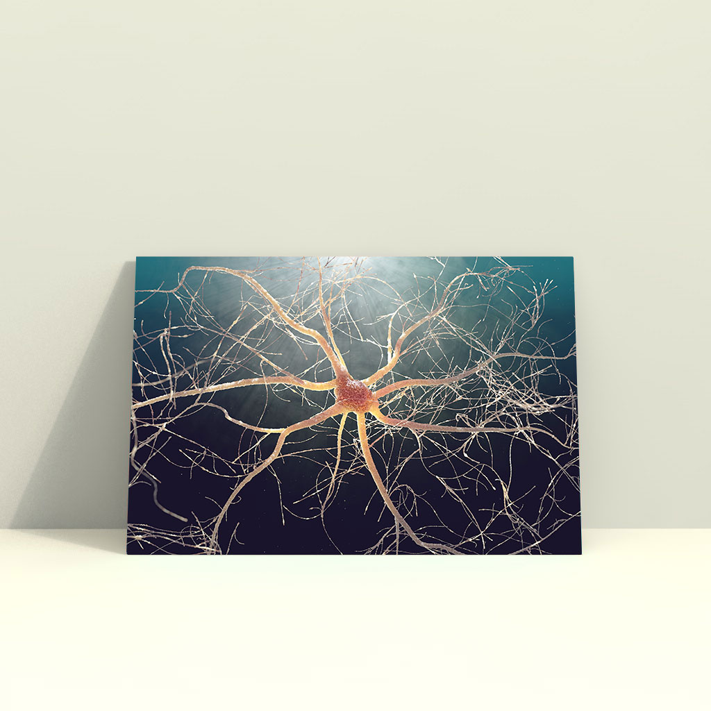 Christmas greeting card with star shaped astrocyte