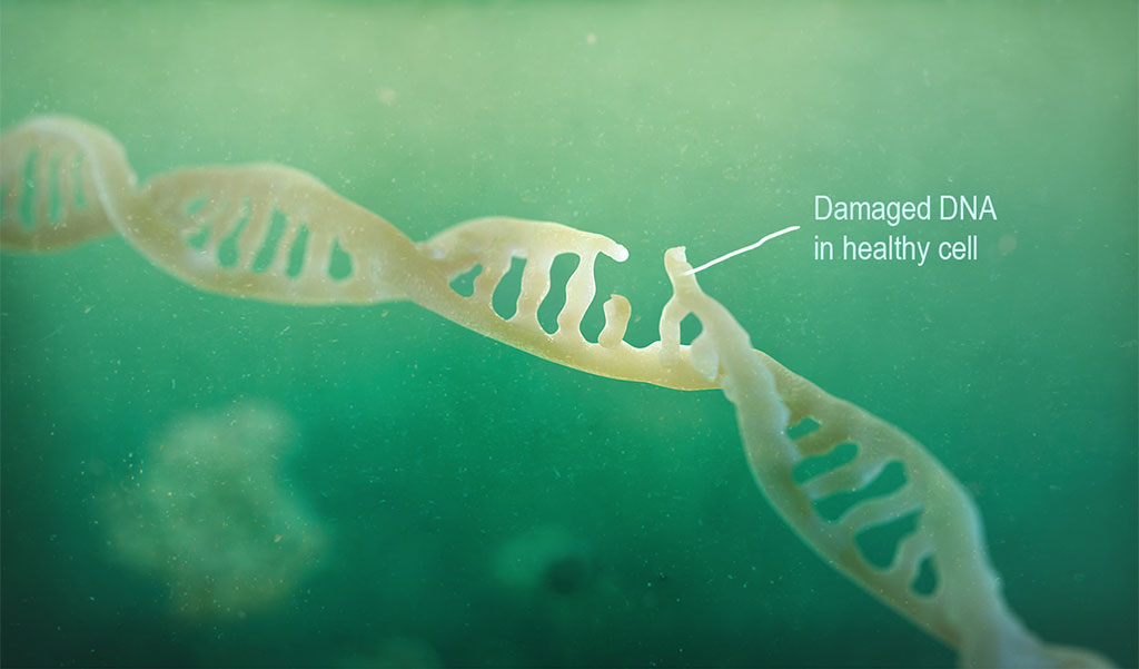 Damaged-DNA, slide 1 in set of sequences